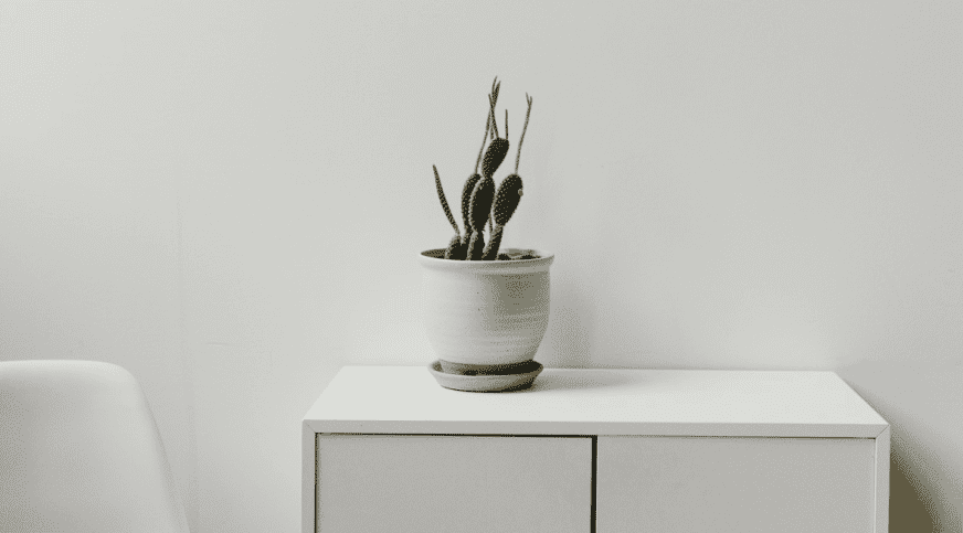 افزایش نرخ تبدیل با یک استراتژی جامع دیجیتال - تعامل با برند