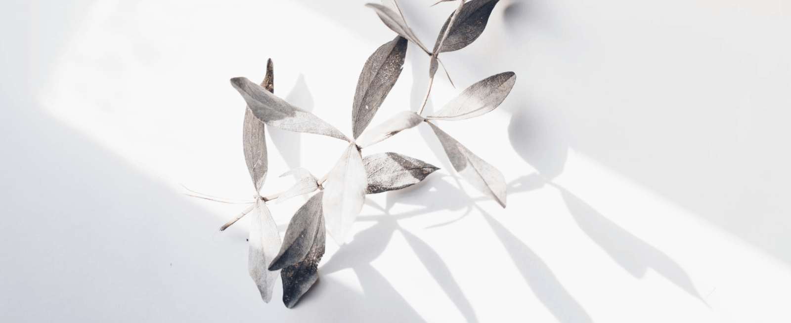 اهمیت طراحی موبایل-اولویت‌دار در دنیای دیجیتال امروز