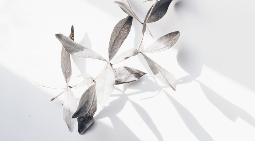 اهمیت طراحی موبایل-اولویت‌دار در دنیای دیجیتال امروز